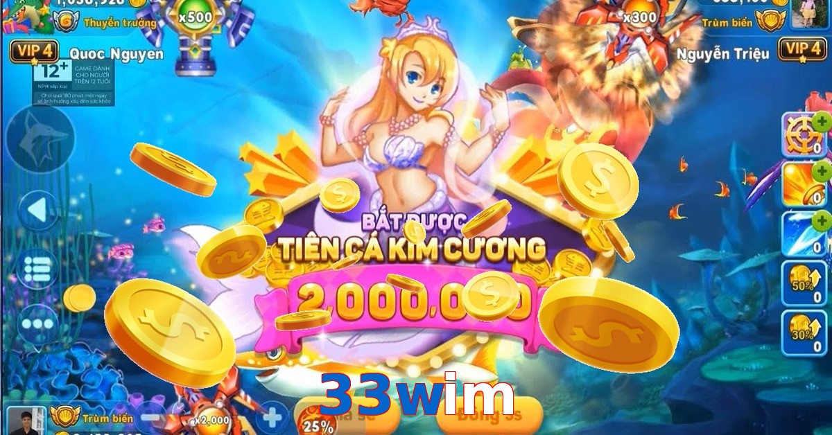 33wim
